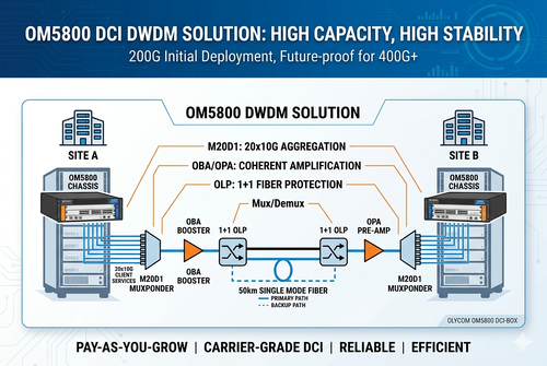 mais recente caso da empresa sobre Short Distance 200G to 400G Scalable DWDM DCI Solution